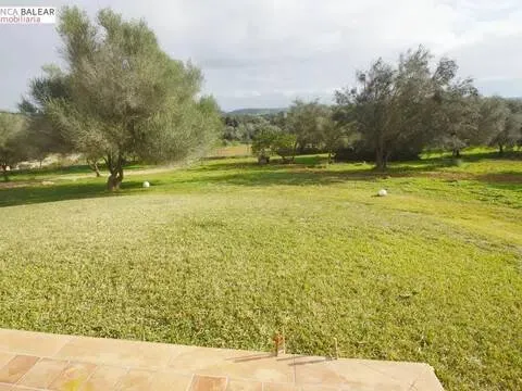 Pis de 300 m² a Costitx