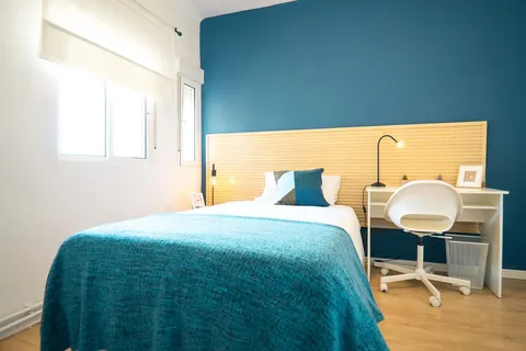 Habitació de lloguer, Madrid (3/20)