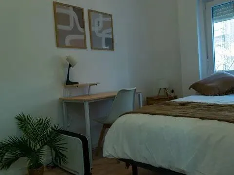 Habitació de lloguer, Saragossa