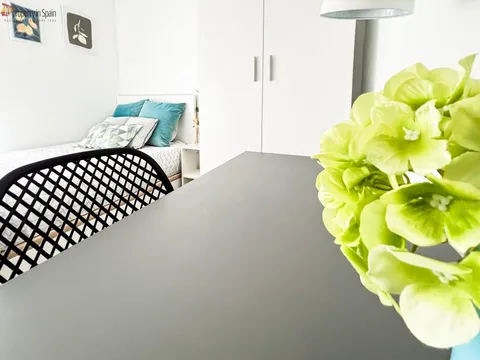 Habitació de lloguer, Alacant