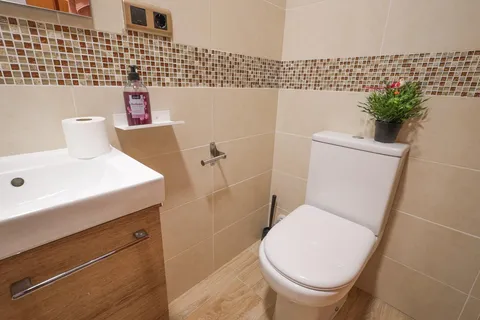 Zimmer zur Miete, Torrent