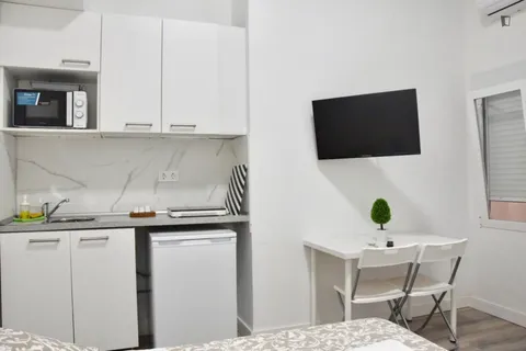 Wohnung 18 m² in Madrid (3/5)