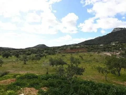 Pis de 310 m² a Felanitx
