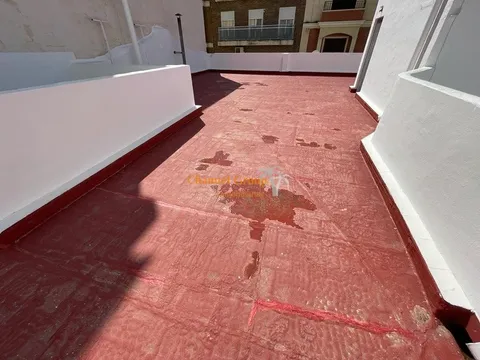 Habitació de lloguer, Elx
