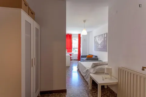 Stanza in affitto, Valencia