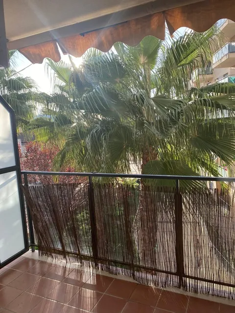 Appartamento 39 m² a Alzira