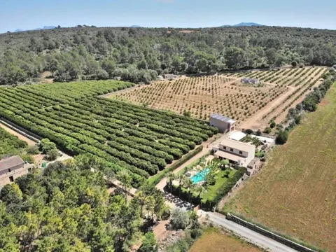 Casa 170 m² a Ariany (2/41)