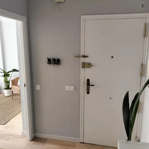 Habitació de lloguer, Alacant