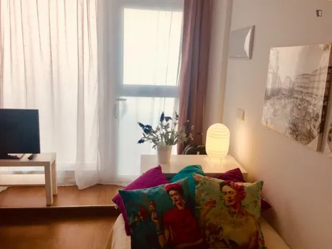Pis de 28 m² a Madrid