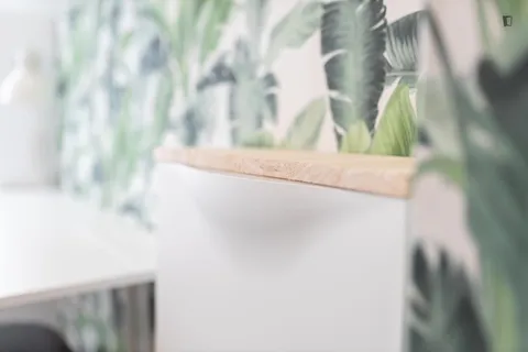 Habitació de lloguer, Barcelona