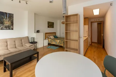 Appartamento 35 m² a Madrid