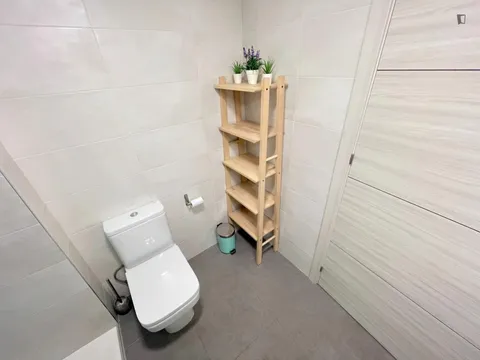Stanza in affitto, Valencia