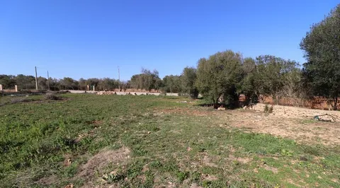 Habitació de lloguer, Algaida