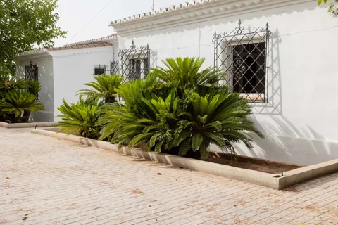 House 295 m² in Bétera