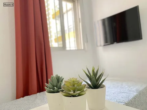 Habitació de lloguer, Sevilla