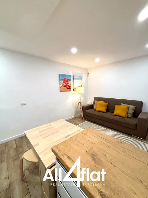 Pis de 46 m² a Barcelona (2/17)