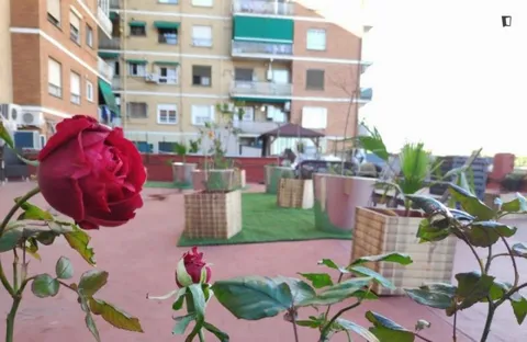 Habitació de lloguer, València