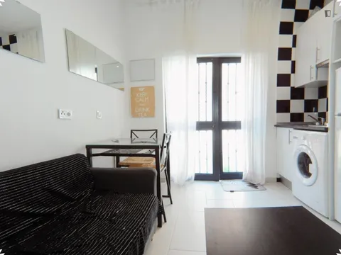 Pis de 28 m² a Madrid