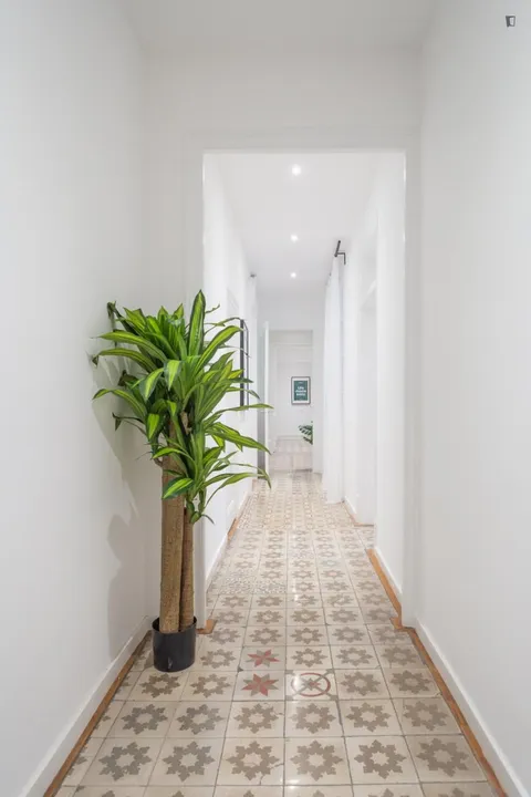 Habitació de lloguer, Barcelona