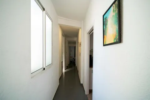 Stanza in affitto, Valencia