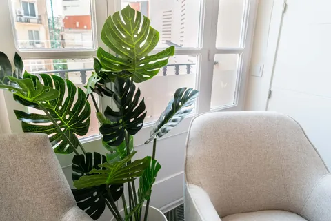 Habitación en alquiler, Barcelona