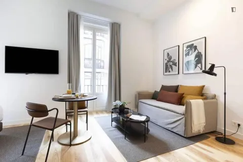 Pis de 29 m² a Madrid