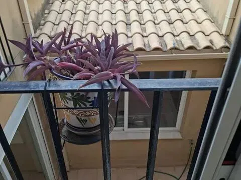Pis de 197 m² a València