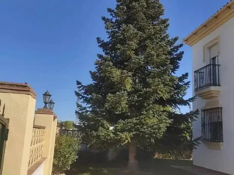 Casa de 315 m² a Ronda