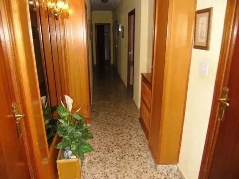 Habitació de lloguer, Albacete