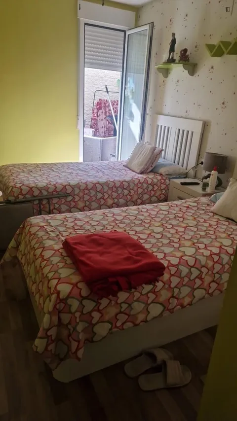 Habitació de lloguer, Alacant