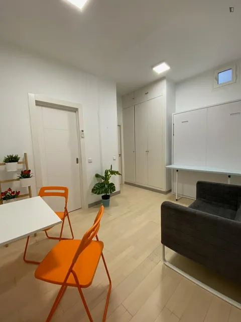 Pis de 29 m² a Madrid