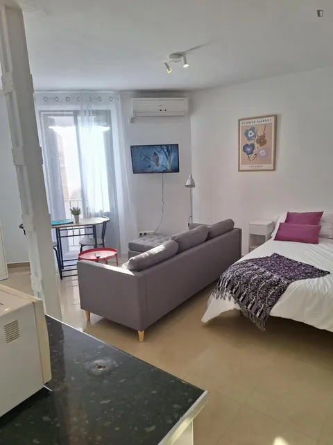 Flat 45 m² in Seville (2/10)
