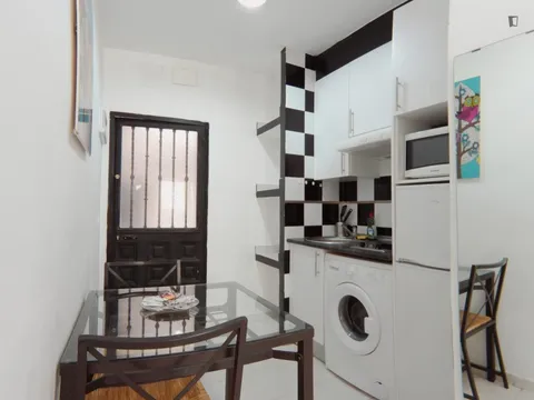 Pis de 28 m² a Madrid