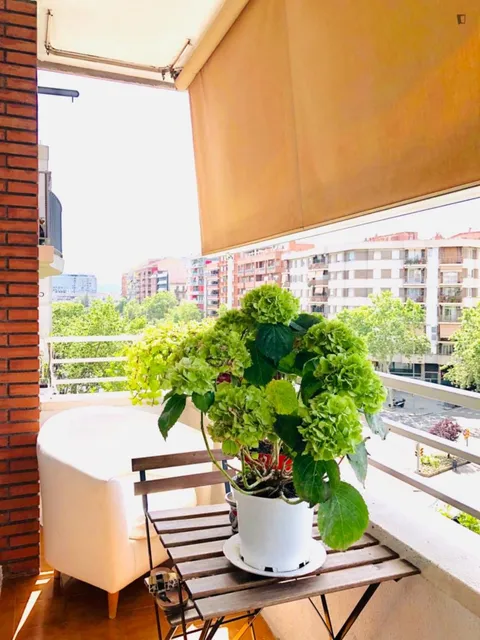 Room for rent, Barcelona