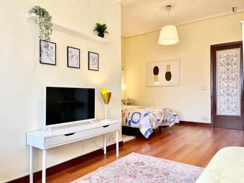 Habitació de lloguer, Bilbao