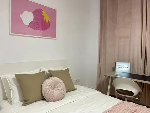 Chambre à louer, Madrid (4/38)