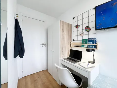 Chambre à louer, Madrid