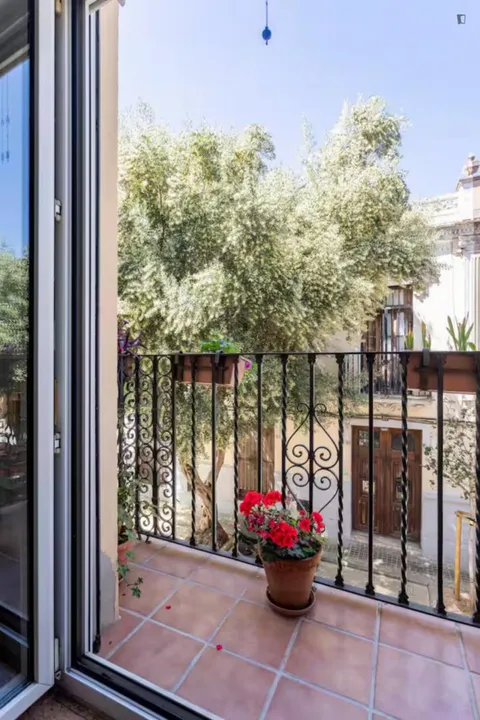 Habitació de lloguer, València
