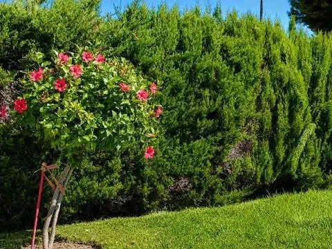 Wohnung 66 m² in Benalmádena