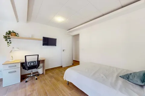 Habitació de lloguer, Elx