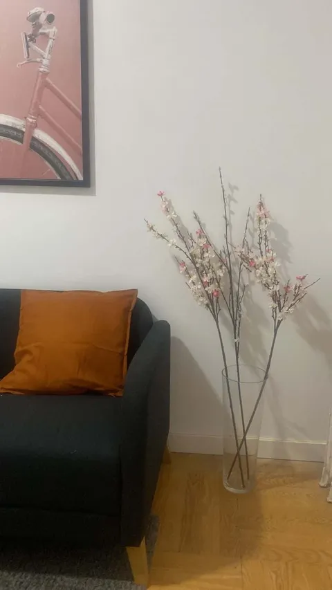 Chambre à louer, Madrid