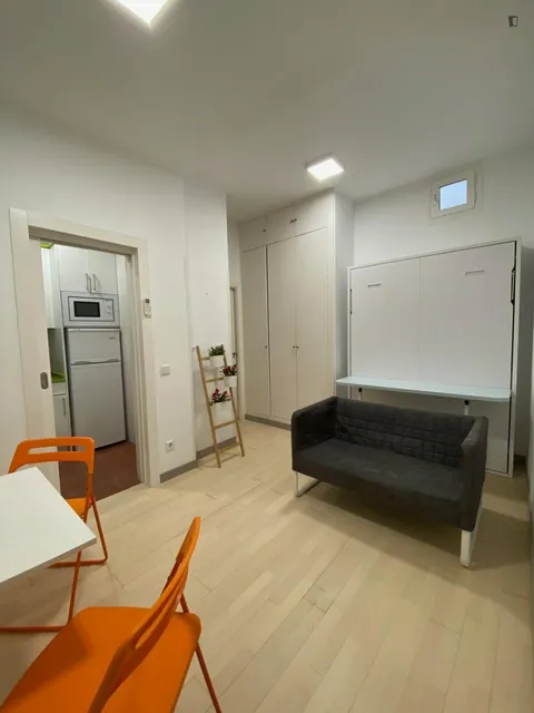 Pis de 29 m² a Madrid