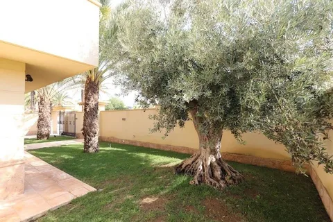 Moradia 415 m² em Orihuela