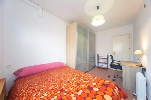 Stanza in affitto, Granada