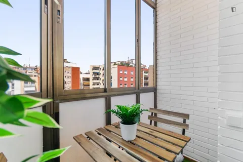 Quarto para alugar, Barcelona