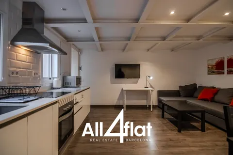 Flat 60 m² in Barcelona (3/31)