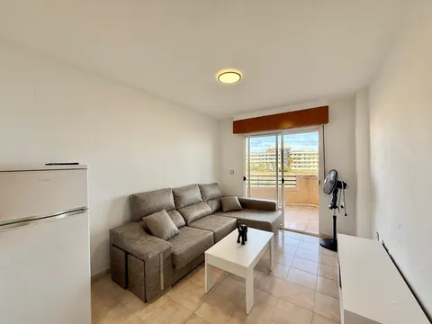 Pis de 40 m² a el Pilar de la Foradada