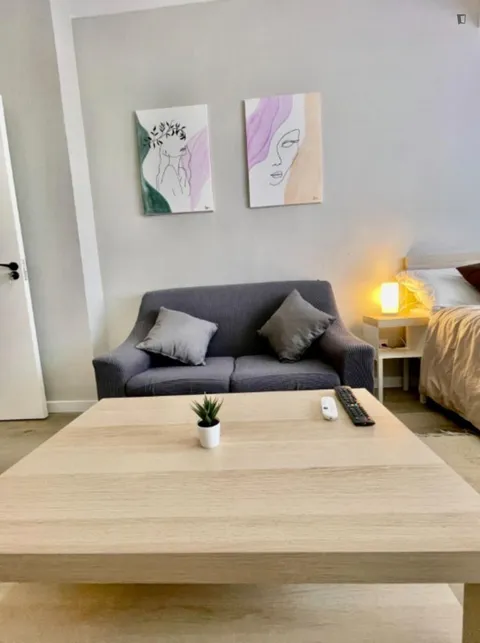 Habitació de lloguer, Alacant