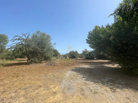 Квартира 337 м² в Pollença