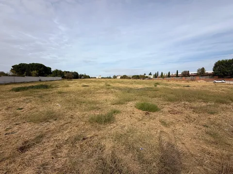 Pis de 274 m² a Pozo de Guadalajara